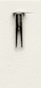  8/16" 