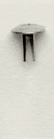 p222