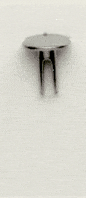 p223